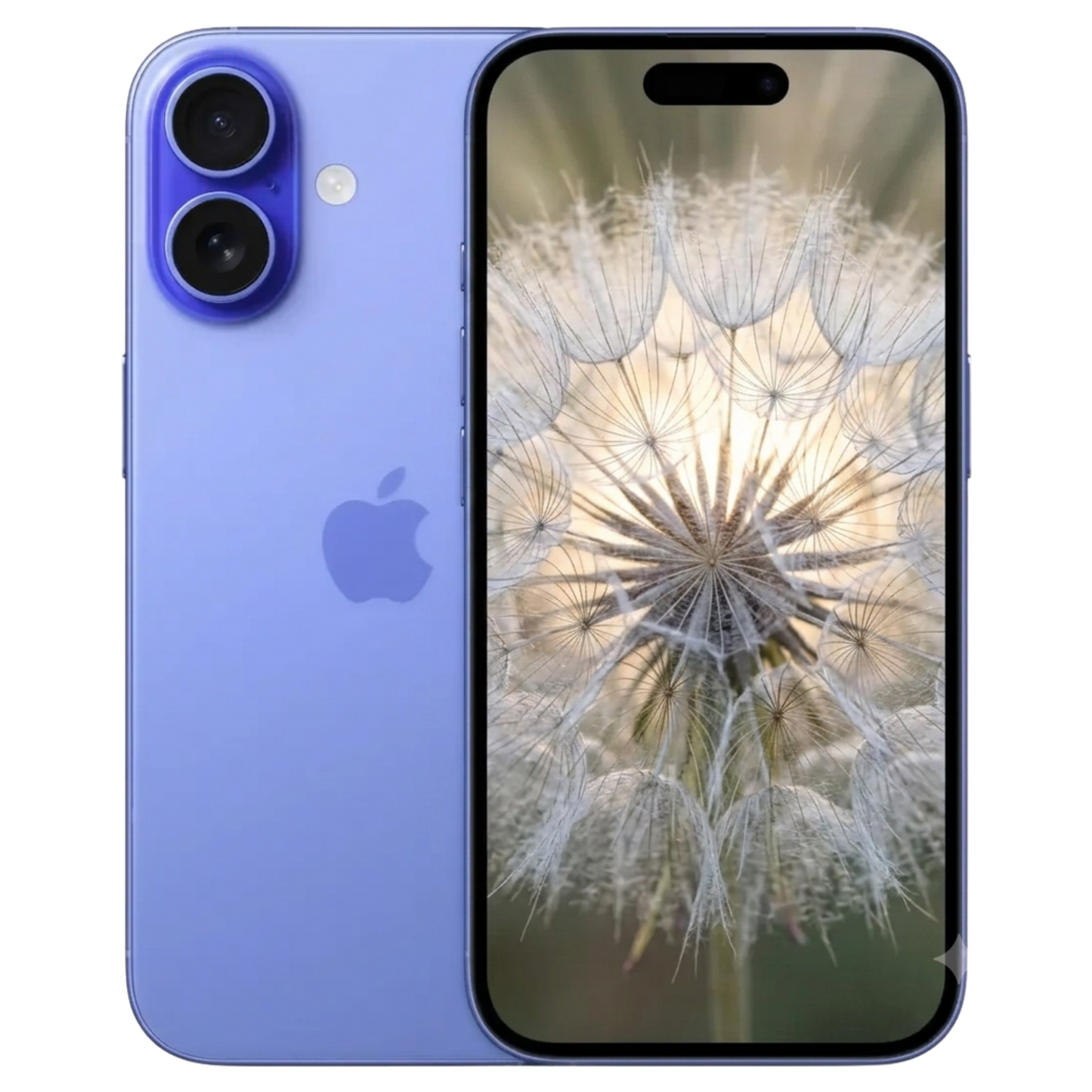 Iphone 16 Plus Repair